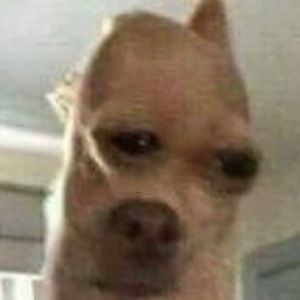 Meet your Posher, Alexandre